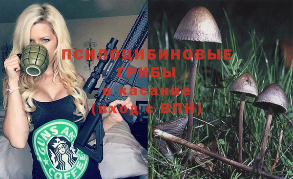 дживик Нея