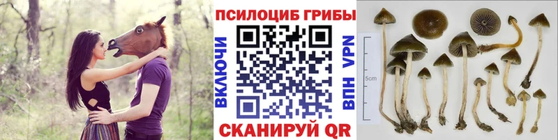 Псилоцибиновые грибы мухоморы  Старый Оскол 