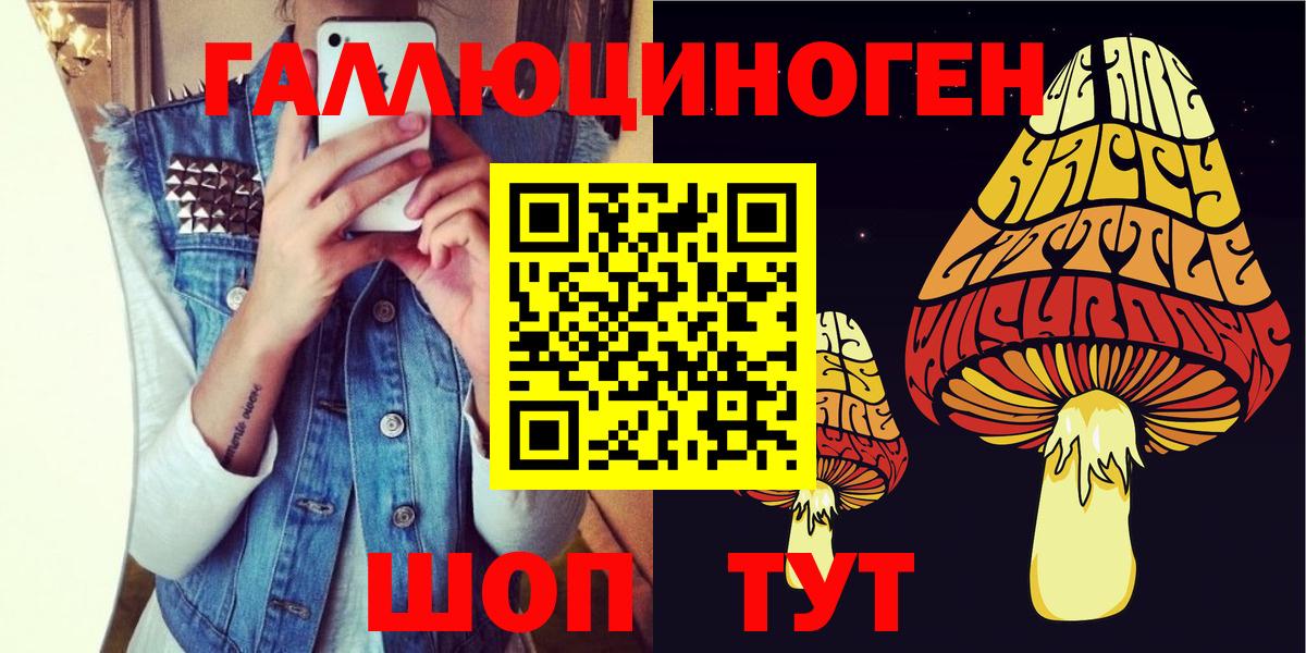 цены   Старый Оскол  Галлюциногенные грибы Cubensis 